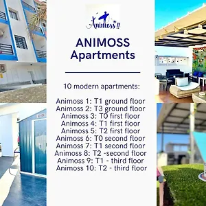 Animoss! Apartments - 10 Modern Apartments Near City Center & Beach Santa Maria